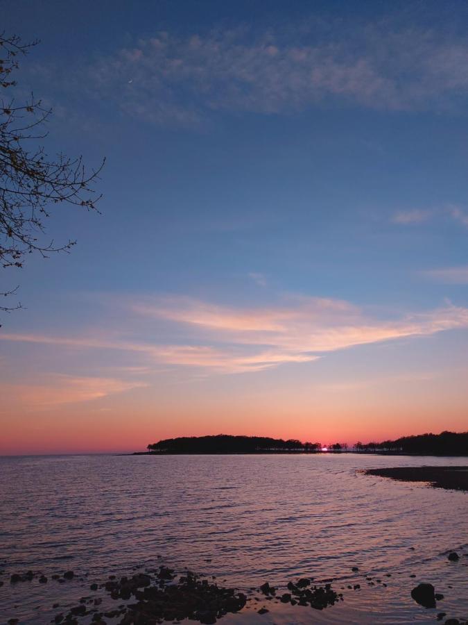 Apartment Fiorella Poreč Dış mekan fotoğraf