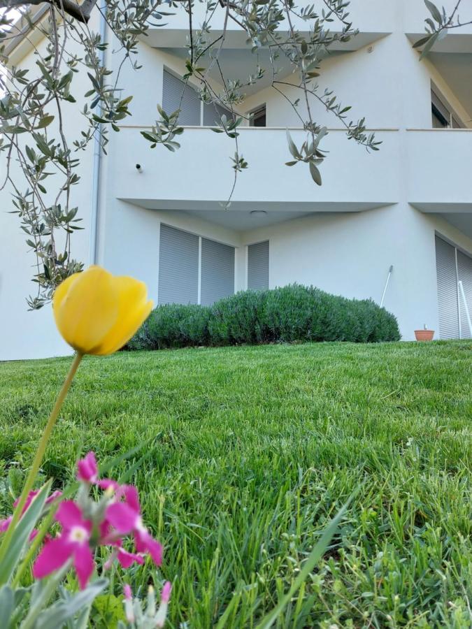 Apartment Fiorella Poreč Dış mekan fotoğraf