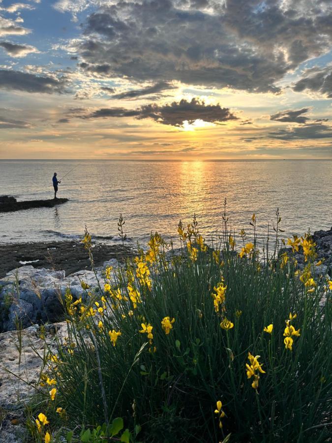 Apartment Fiorella Poreč Dış mekan fotoğraf