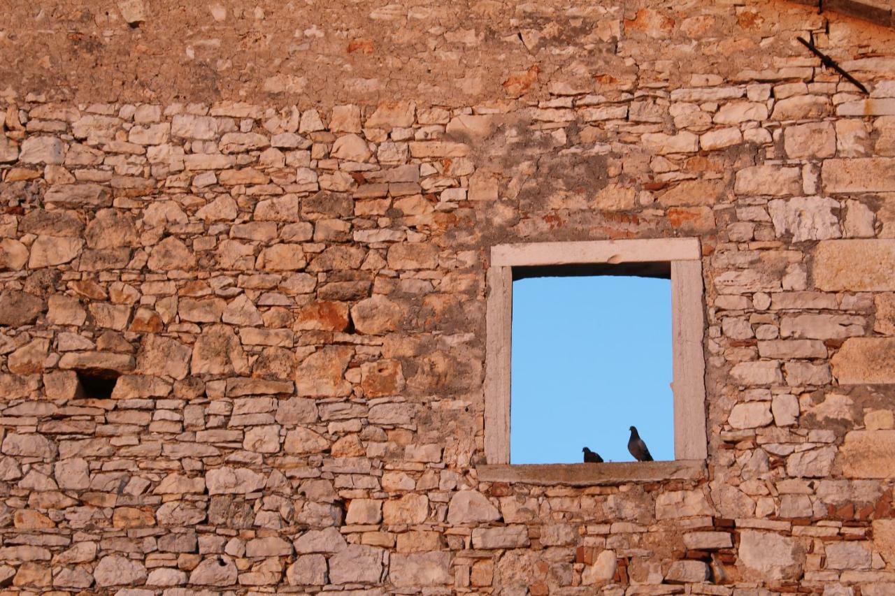 Apartment Fiorella Poreč Dış mekan fotoğraf